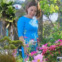 nhạc nền - Chiều Tím