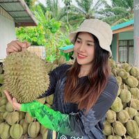 noey11rm