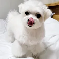 original sound - user917536257712