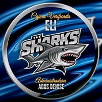 shark_143_mms
