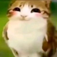 verthonsz_