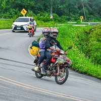 aof_ta41