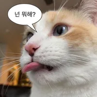 original sound - xltuelinn_