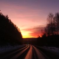 tima_102_rus