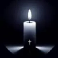 original sound - dq242209