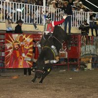 emanuelhernandezmota