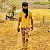 الصوت الأصلي