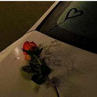 urser_aracely