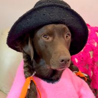vivienne82ing