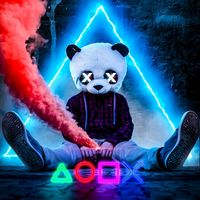 oppositepanda