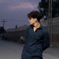 syedbilalhussain7861