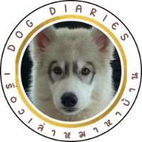 dogdiariesth