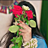 .dipa182