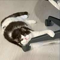 nhạc nền - Riidayy^😽🐷🥦💘