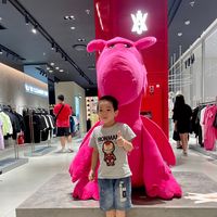 dt.smart.toy