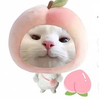 phyumoe10