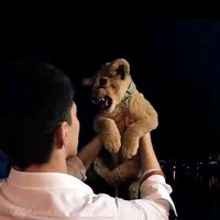 6.winston