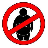 carrterasmusic