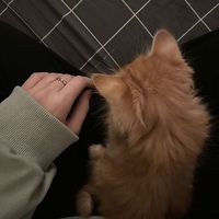 esra_duski99