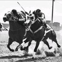 ferbarraza102