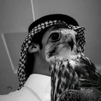 الصوت الأصلي