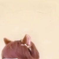 ________ys95