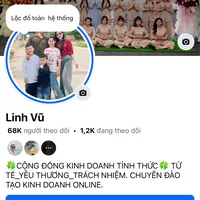 original sound - linh_vu_1994
