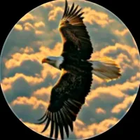 original sound - sofi.m965