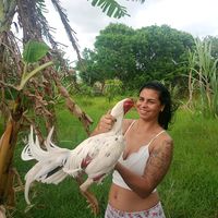 criatorio.boa.vista