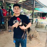 pele_vilatham