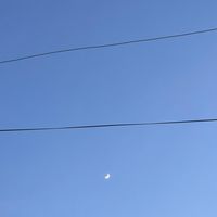 Gánh vác nặng nghìn cân mà trưởng thành