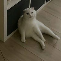 uduajajqiq8