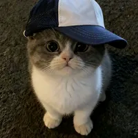 original sound - 16maumereparty