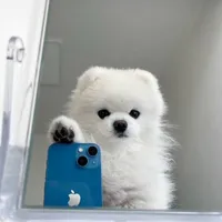 original sound - ymx_.0131