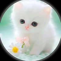 arifa_akter_moriom615