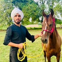 announcerchwadda