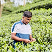 mostakim_ahamed