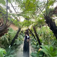 សំឡេងដើម - @Moonシ︎