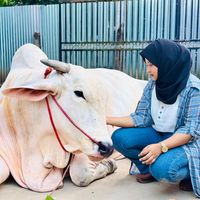 ktcowfarm