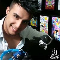 gato.tatuador