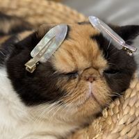 original sound - Pueng