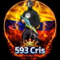 vanhelsingcris