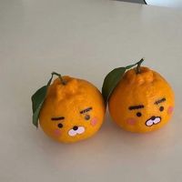 orangeryann