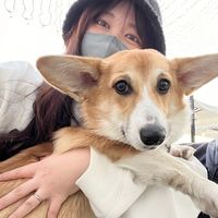 _tasomoon