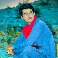 muhammadjavid286