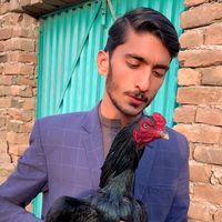 zohan.shah46