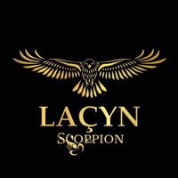 lacyn_scorpion