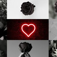 liv_imagin3s