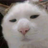 suara asli - Yanagi Hotaru