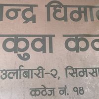 dive.dhimal